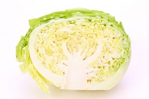 439d86834c873c508f18eff7519d8346_s