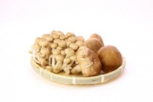 cb6cc00645b629540c64e977d48e6374_s